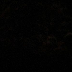 Meet your Posher, Jeffrey